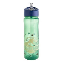 Jurassic World Bronze Water Bottle with Straw Reusable Kids 600ml PP in Green & Blue Official Merchandise by Polar Gear BPA Free & Recyclab