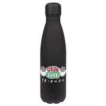 Friends - Friends Water Bottle - Stainless Steel - BPA Free Water Bottle - Friends TV Show Gifts - Friends Merchandise with Frame - Water Flask -