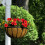 2 Natural Coco Hanging Basket Liners Coco Liner For 14 Inch Basket 6