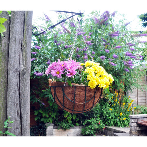 4 Natural Coco Hanging Basket Liners Coco Liner for a 16 Inch Basket 2
