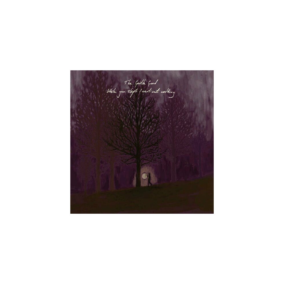Cd While You Slept I Went Out (2008)