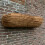 Selections Pack of 5 Extra Deep Coco Wall Garden Planter Liners (120cm) 3