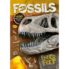 Fossils - Kirsty Holmes - book