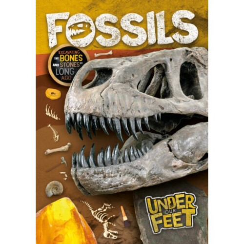 Fossils - Kirsty Holmes - book