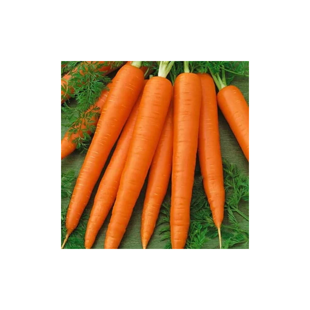Unwins Grow Your Own Vegetables Versatile Carrot Sweet Candle Seeds