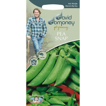 Mr.Fothergill's David Domoney Easy Grow Pea (Snap) Suagr Bon Seeds Pkt