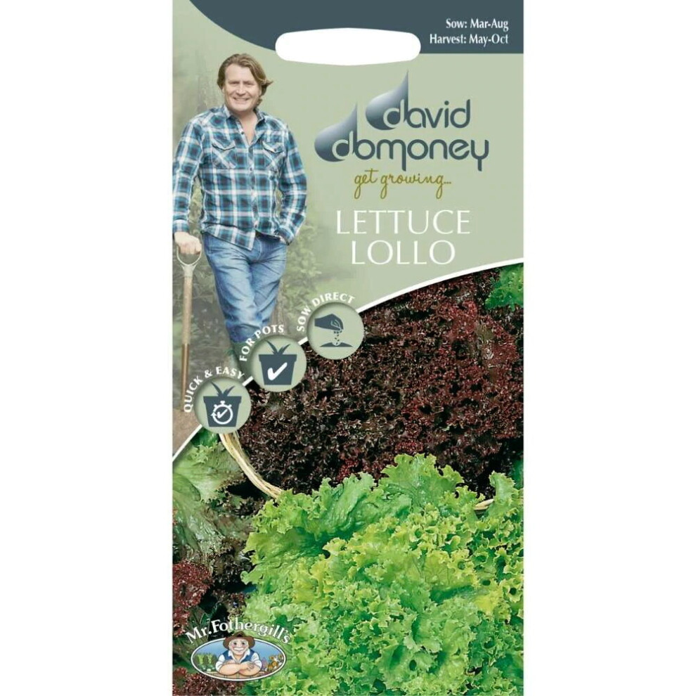 Mr Fothergill's Mr.fothergill's David Domoney Easy Grow Lettuce Lollo Mixed Seeds Pkt