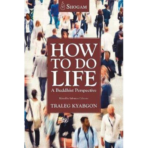 How To Do Life