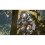 Playstation Predator: Hunting Grounds (Import) 2