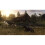 Red Dead Redemption 2 (PS4) 4