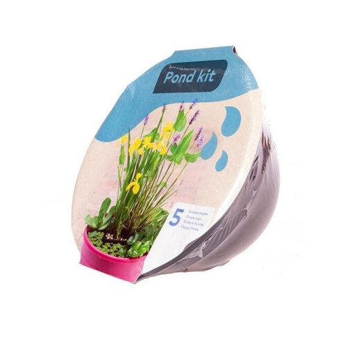 (Fuchsia) Moerings Patio Pond Kit including 3 Aquatic Plants 2