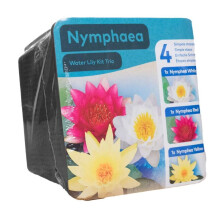 Moerings Waterplants Complete Kit - Trio of Water Lilies Mixed Pack