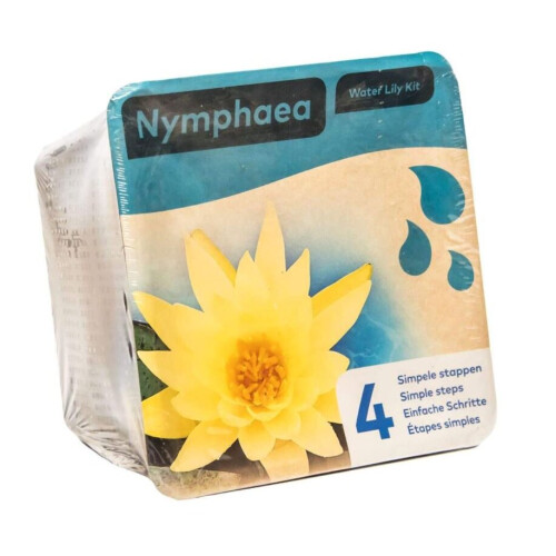 (Yellow) Moerings Waterplants Complete Pond Kit for Lilies