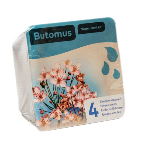 Moerings Waterplants Complete Pond Kit for Butomus