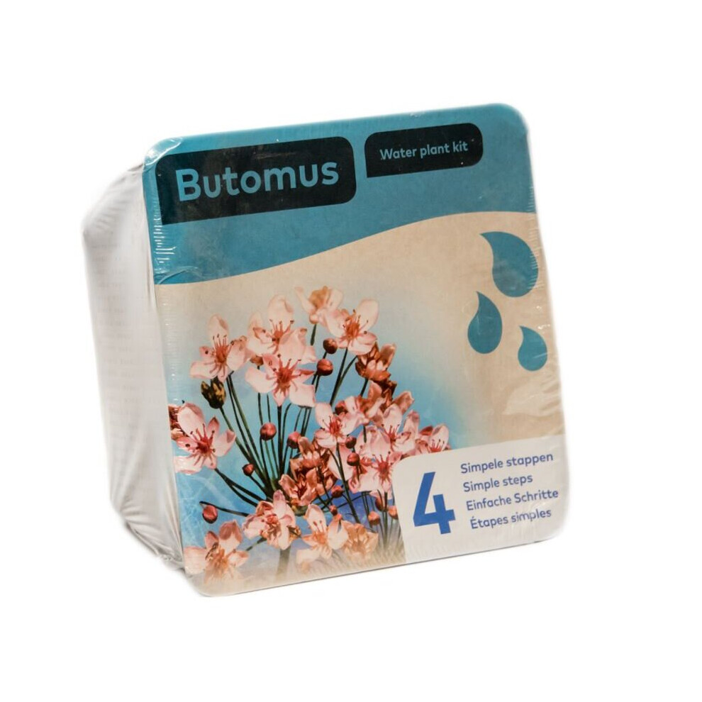 Moerings Waterplants Complete Pond Kit For Butomus