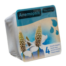 Moerings Waterplants Complete Pond Kit for Anemopsis