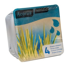 Moerings Waterplants Complete Pond Kit for Acorus
