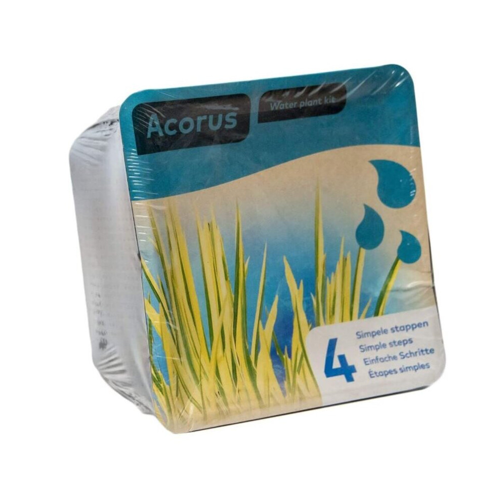 Moerings Waterplants Complete Pond Kit For Acorus