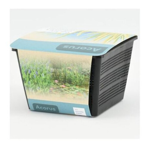 Moerings Waterplants Complete Pond Kit for Acorus 1