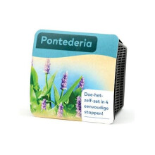 Moerings Waterplants Complete Pond Kit for Pontederia