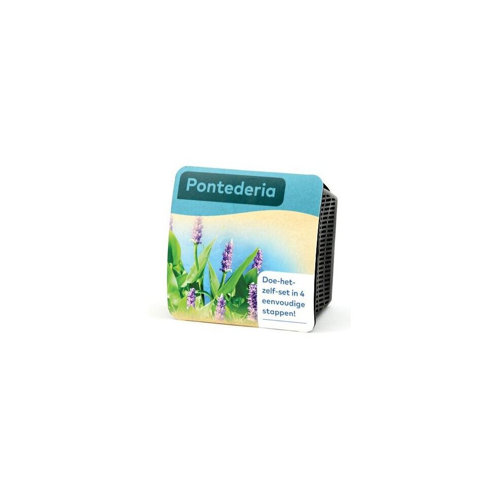 Moerings Waterplants Complete Pond Kit For Pontederia