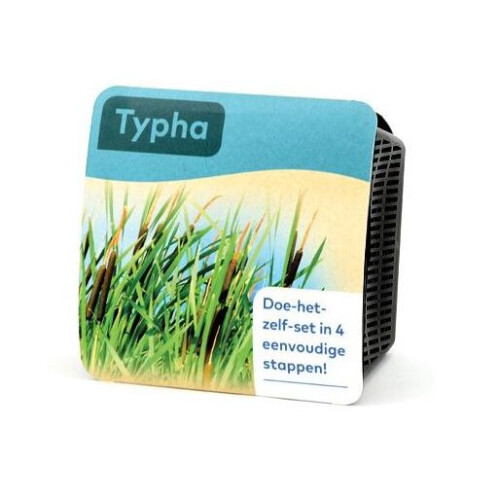 Moerings Waterplants Complete Pond Kit for Typha