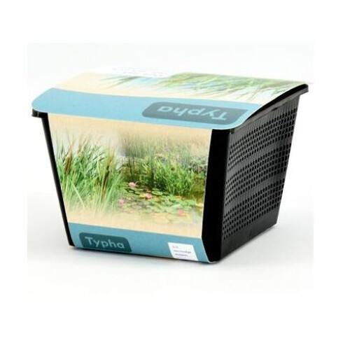 Moerings Waterplants Complete Pond Kit for Typha 1