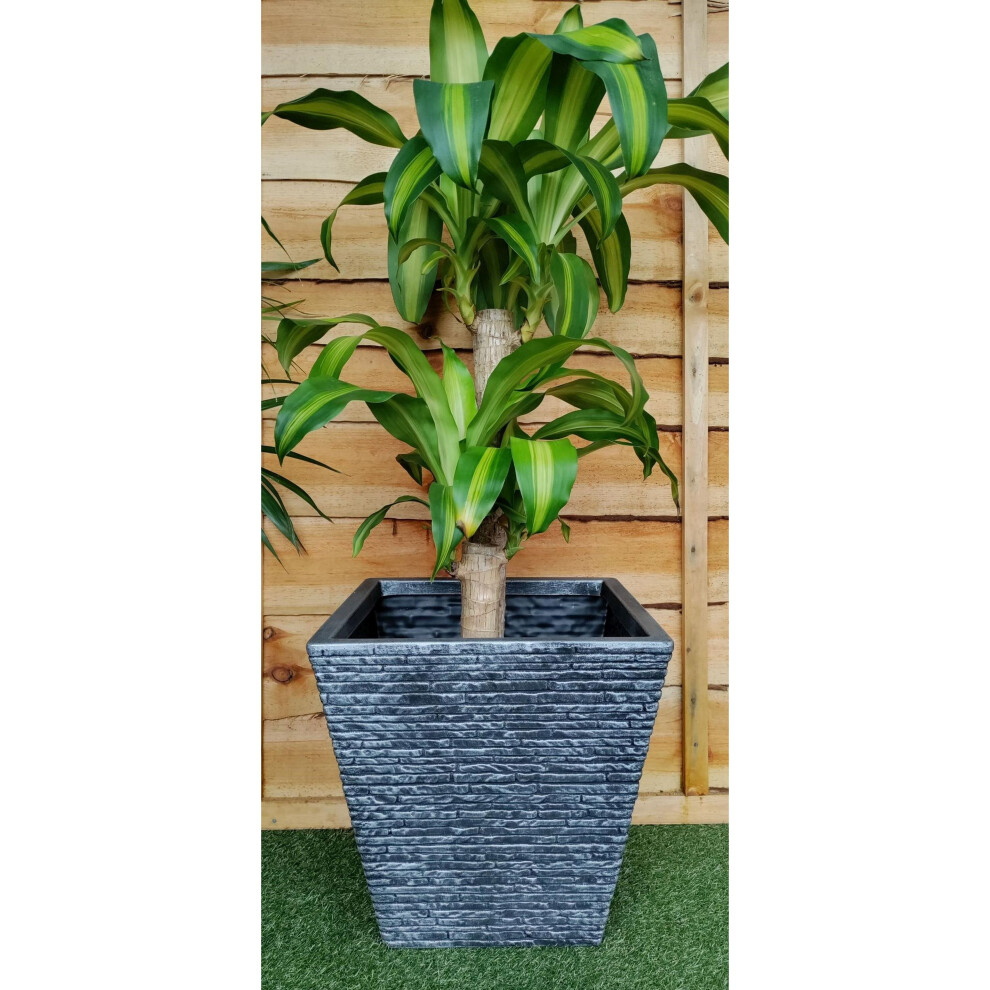 2 Small Grey Brick Effect Planter Plastic Flared Plant Pot 33.5cm-image-OPC-P8XZWJ2-NEW
