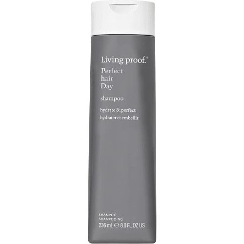 Shampooing Perfect Hair Day