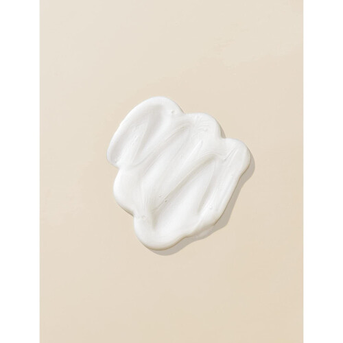 Shampooing Anti-Frisottis 2