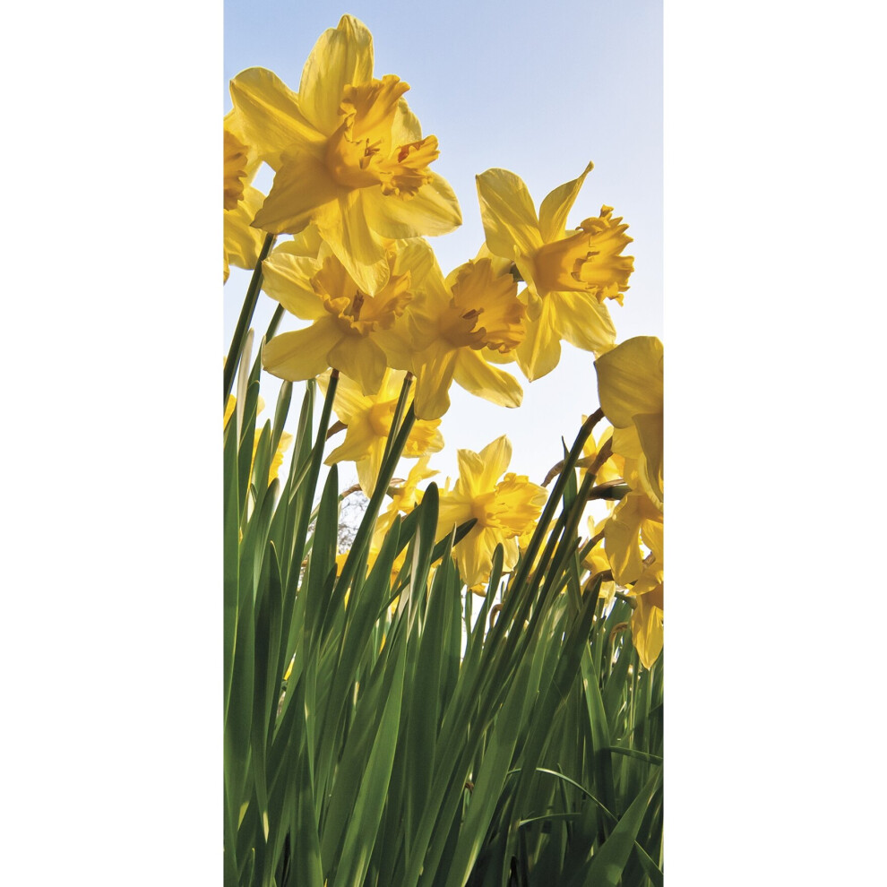 Pack of 6 Marie Curie Charity Easter Greeting Cards In Two Spring Flower Designs