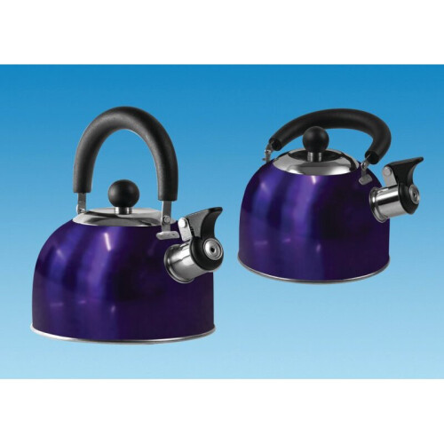 1.6 L Gas Stove Top Whistle Kettle | Folding Handle | Blue