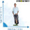 Star Cutouts Cut Out of David Beckham 2