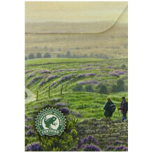 Yorkshire Gold Tea, 80 Tea Bags (Pack of 5, total 400 Teabags)
