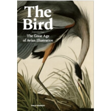 The Bird : The Great Age of Avian Illustration - Philip Kennedy - book
