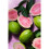 Korres KORRES Guava Renewing Body Cleanser 5