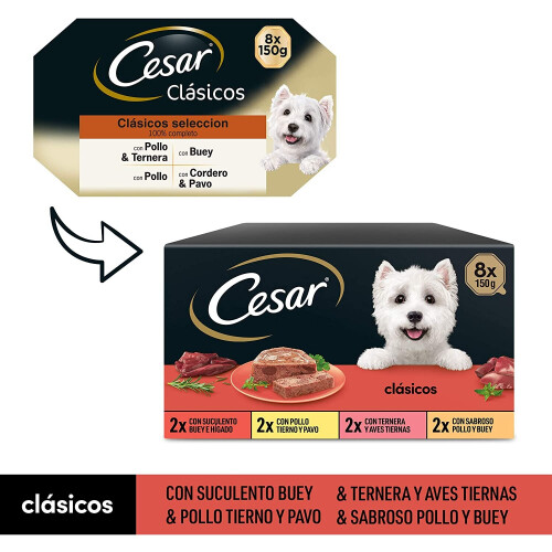 Cesar Cesar Multipack of 8 Dog Bowls 1