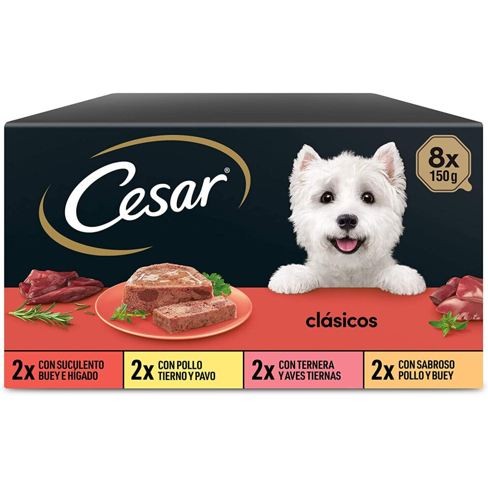 Cesar Multipack of 8 Dog Bowls