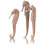 Biorb biOrb Seahorse 3 Pack Natural 1