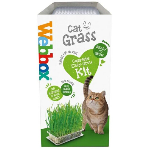 Webbox Webbox Cat Grass Kit 120g