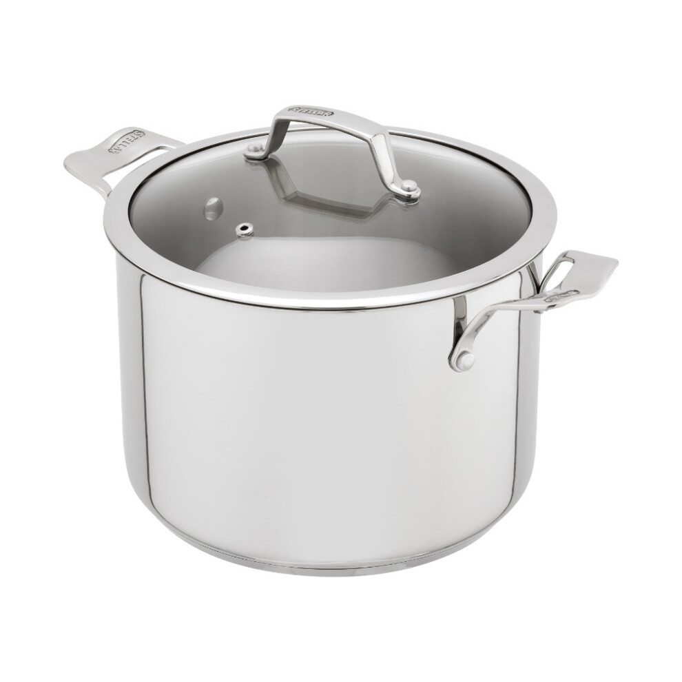 Stellar Stainless Steel Stockpot 24cm 6L