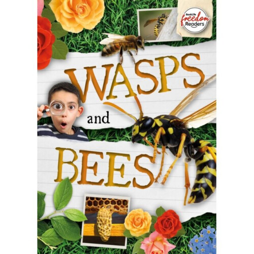 Wasps and Bees - William Anthony - book