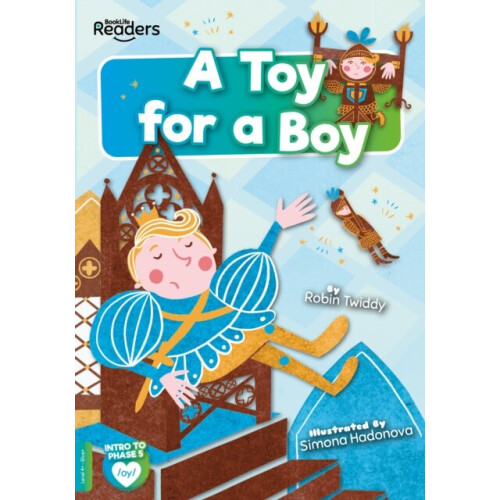 A Toy for a Boy - Robin Twiddy - book