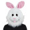 Easter Bunny Rabbit Mascot Head 1