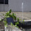 Anself DDUC Solar Water Pump 3