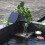 Anself DDUC Solar Water Pump 8