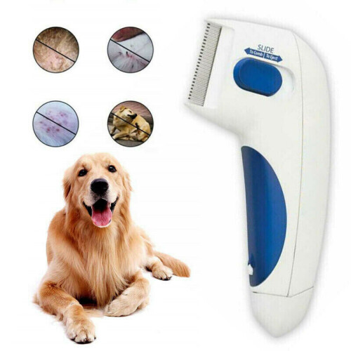 Flea Electric Pet Cat Dog Safe Flea Comb Kills Fleas Pet