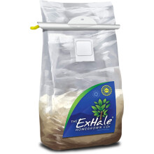 Homegrown Exhale Co2 Bag Mushroom Natural Generator With Hanger Hydroponics