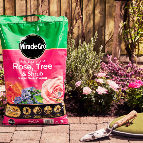 MiracleGro Compost Rose Tree & Shrub Special Plant Compost 20L on OnBuy