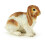 Papo - Figurine Pääsiäispupu 3